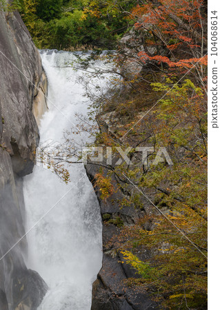 Autumn's Seng Falls 104068614