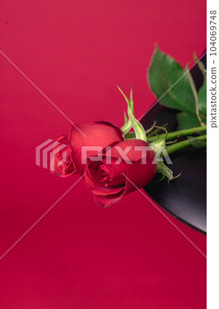 [花椅~花椅~] 紅玫瑰貝殼邊椅 104069748