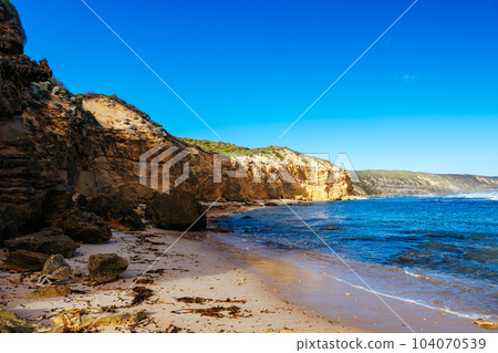 Fingal Beach in Mornington Peninsula Australia 104070539