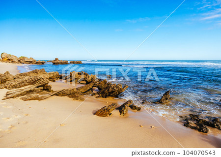 Fingal Beach in Mornington Peninsula Australia 104070543