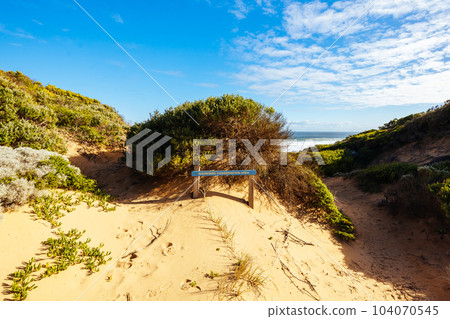 Fingal Beach in Mornington Peninsula Australia 104070545