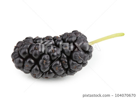 Mulberry berry isolated on white background. File contains clipping path. Mulberry berry isolated on white background. File contains clipping path. 104070670
