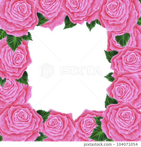 Hand drawn watercolor pink rose frame isolated on white background. Can be used for invitation, postcard, poster, book decoration and other printed products. Hand drawn watercolor pink rose frame isolated on white background. Can be used for invitation, postcard, poster, book decoration and other printed products. 104071054