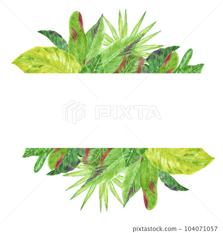 Hand drawn watercolor green tropical leaves boarder frame isolated on white background. Can be used for post card, label, banner design. 104071057