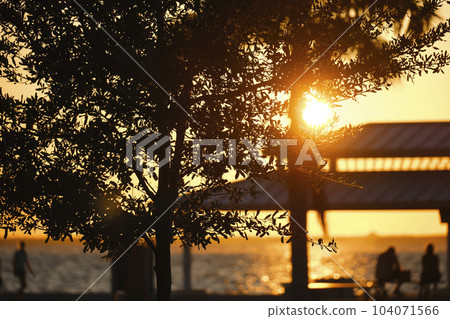 Dark silhouette of people resting under alcove roof on sea shore in public park at sunset 104071566