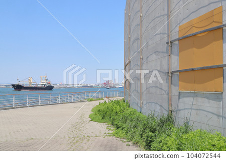 Nanko / Seaside Cosmo 104072544