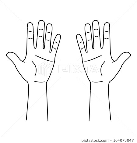 Illustration line drawing of both palms | Can be used for medical records such as charts 104073047