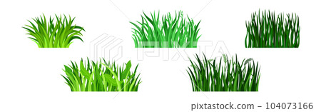 Tufts of Green Fresh Grass as Nature Element Vector Set 104073166