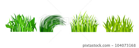 Tufts of Green Fresh Grass as Nature Element Vector Set 104073168