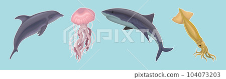 Marine Habitant with Dolphin, Jellyfish, Shark and Squid Vector Set Marine Habitant with Dolphin, Jellyfish, Shark and Squid Vector Set 104073203
