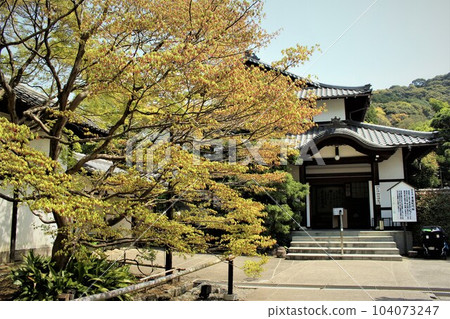 Shoren-in Monzeki of fresh green 104073247