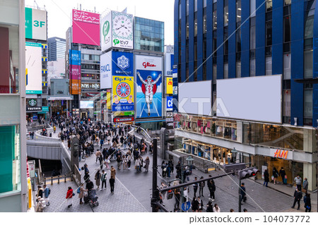 《Osaka Prefecture》Dotonbori/Minami Downtown 104073772