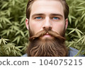 A young bearded man standing in the hemp field of plants. Generative Ai 104075215