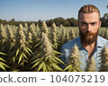 A young bearded man standing in the hemp field of plants. Generative Ai 104075219