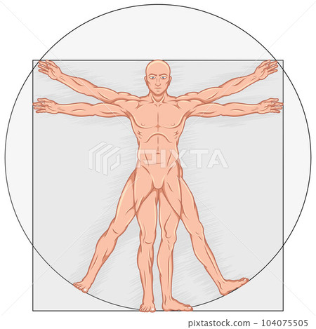 Vitruvian man Vector design 104075505