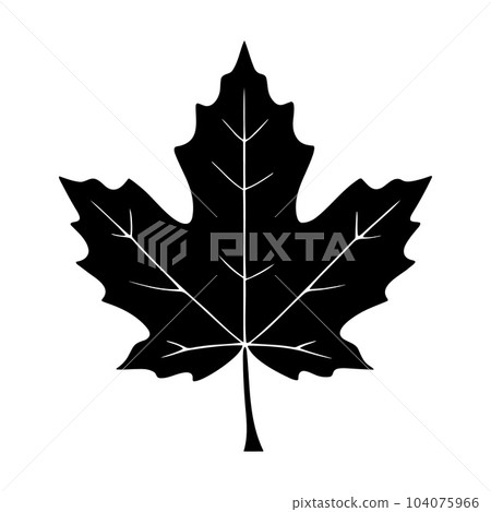Maplle leaf silhouette logo isolated on white background 104075966