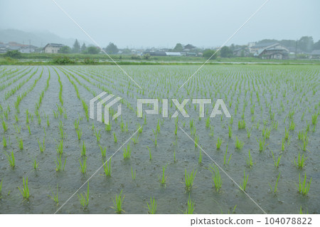 Hakushu town, Hokuto city Hakushu town, Hokuto city 104078822
