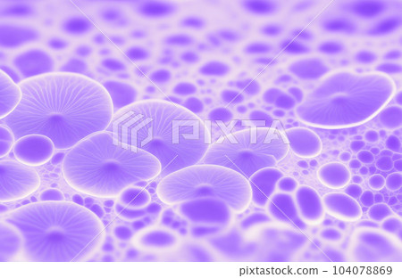 plant cells 104078869