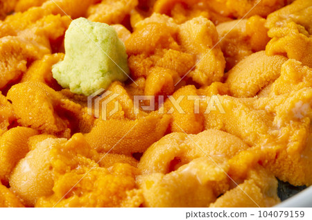 Hokkaido's delicious sea urchin dishes Hokkaido's delicious sea urchin dishes 104079159