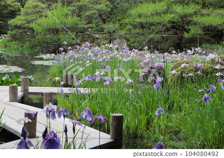 京都平安神宮少年之花書屋 104080492