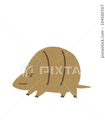 armadillo armadillo 104080507