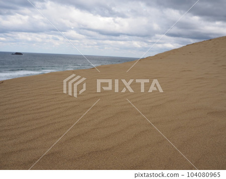 The vast coastal sand dunes with beautiful wind ripples, the Tottori Sand Dunes 104080965