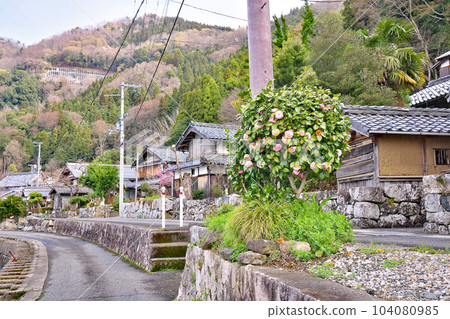 [Lakeside village of Sugaura] Sugaura, Nishiazaicho, Nagahama City, Shiga Prefecture 104080985