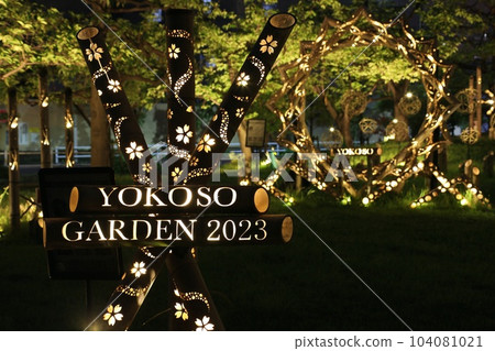 Bamboo light illumination light up 2023 104081021
