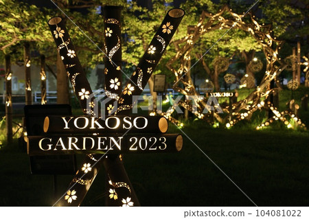Bamboo light illumination light up 2023 Bamboo light illumination light up 2023 104081022