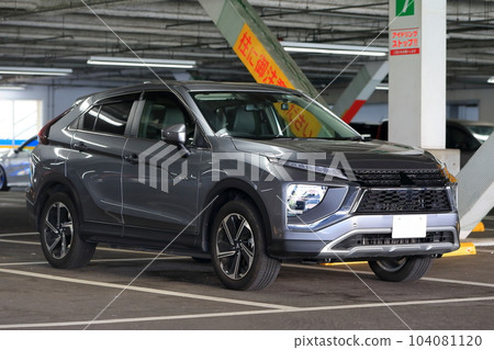 Domestic SUV vehicle image 104081120