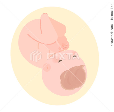 Image illustration of a baby in the womb without umbilical cord 104081148