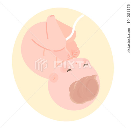 嬰兒在子宮中用臍帶的圖像插圖 104081176