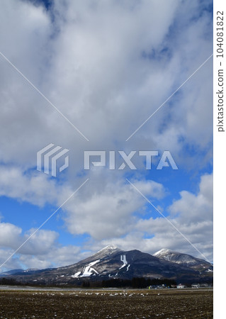 Swan in Lake Inawashiro 104081822