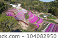 Higashikagawa City Shibazakura Fuji (Kagawa Prefecture) 104082950