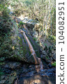 Mizochi Falls, Higashikagawa City (Kagawa Prefecture) 104082951