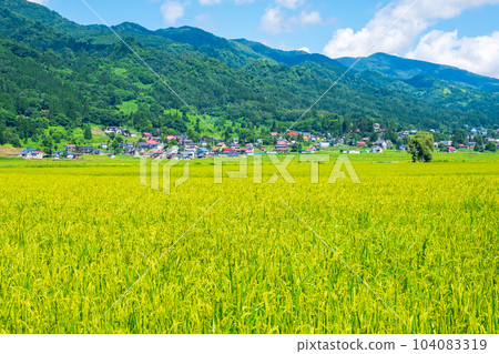 夏季鄉村景觀（8月） 104083319