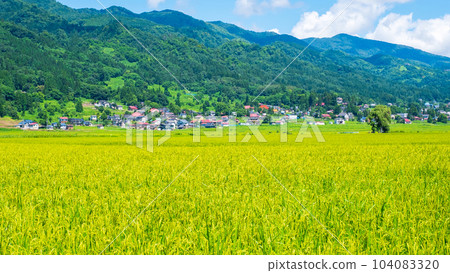 夏季鄉村景觀（8月） 104083320