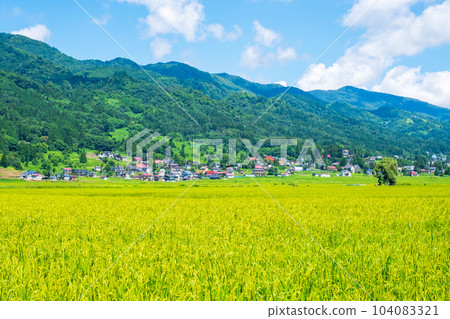 夏季鄉村景觀（8月） 104083321