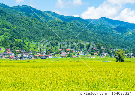 夏季鄉村景觀(8月) 夏季鄉村景觀(8月) 104083324