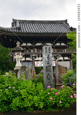 Kannonji temple famous for its hydrangeas in Fukuchiyama city 104083455