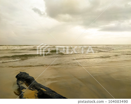 waves with a dry wood on the beach 104083490