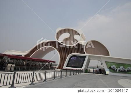 chengdu panda 104084347