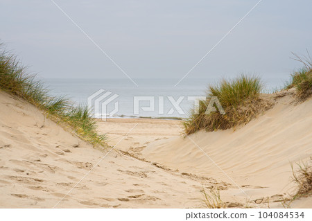Beach view from the path sand between the dunes at Dutch coastline. Marram grass, Netherlands. Beach view from the path sand between the dunes at Dutch coastline. Marram grass, Netherlands. 104084534