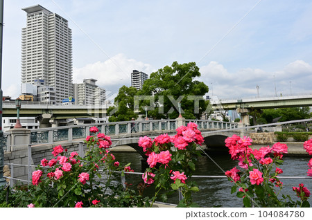 中之島公園風景和玫瑰 中之島公園風景和玫瑰 104084780