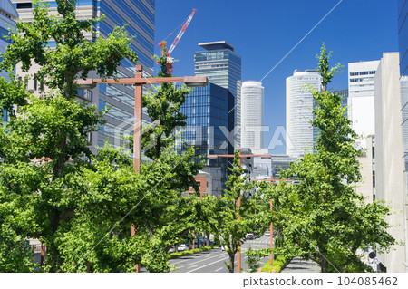 名古屋中區城市景觀櫻花通銀杏樹和名古屋車站大樓從丸之內人行天橋看Newtas 名古屋中區城市景觀櫻花通銀杏樹和名古屋車站大樓從丸之內人行天橋看Newtas 104085462