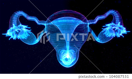 Ovaries. Female reproductive uterus organs and ovaries health care. Particles are connected in a geometric silhouette 104087531