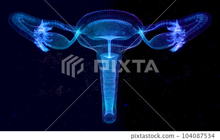 Human anatomy Female reproductive system, female reproductive organs. The layout of the organs of the uterus, cervix, ovary, fallopian tube 104087534