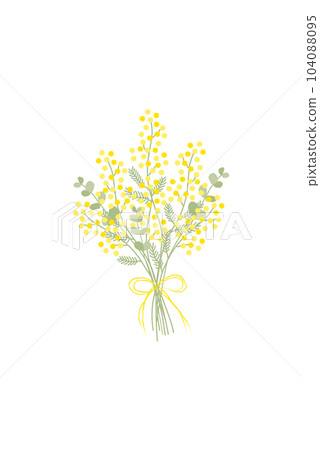 Vector illustration of mimosa bouquet 104088095