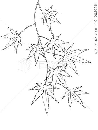 秋天的材料楓樹的插圖 秋天的材料楓樹的插圖 104088096