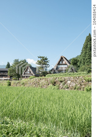 Gokayama / Ainokura Gassho-zukuri Village (Summer) 104088414